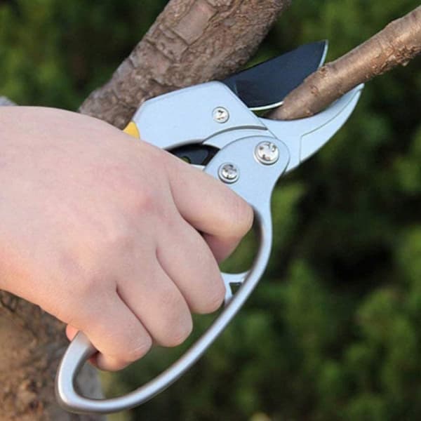 TRÄDGÅRDSBESKÄRNINGSAX FÖR HÄCK TRÄD BUSKAR HAND