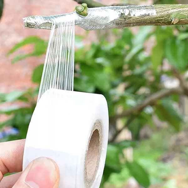 Tejp för ympning av fruktträd och växter Film 100m x 3cm GARDENING Eco