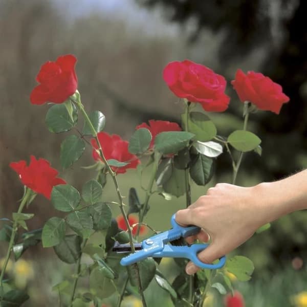 GARDENA rosenplockare - Storlek XL - Slipade blad i rostfritt stål - Rostbeständig - 25 års garanti - (359-20)