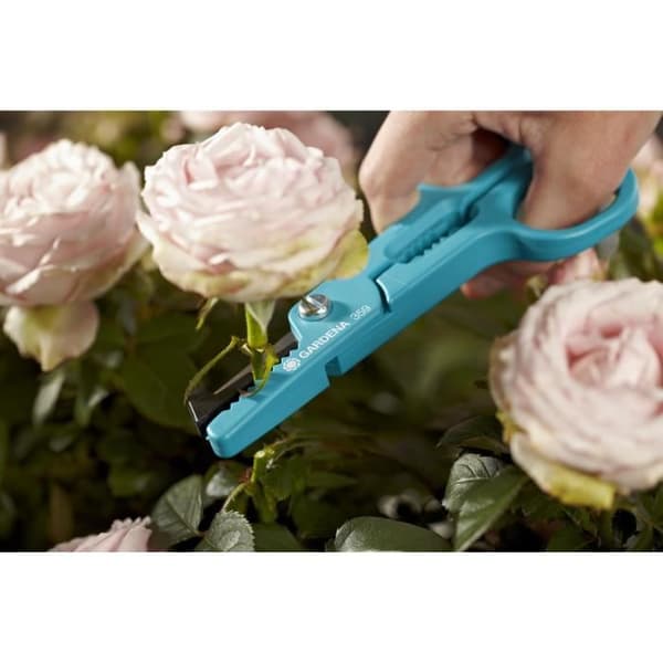 GARDENA rosenplockare - Storlek XL - Slipade blad i rostfritt stål - Rostbeständig - 25 års garanti - (359-20)
