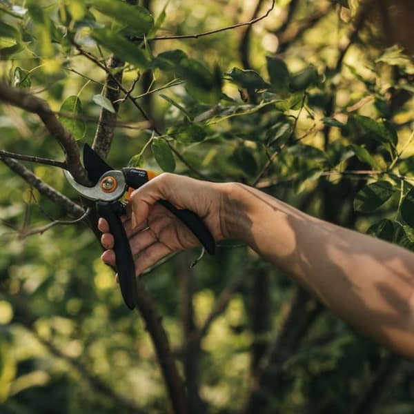 Trädgårdssax - FISKARS - Solid för tunna grenar - Härdat blad med rostbeständig beläggning