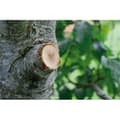 Miniatyrbild 3 av 4: GARDENA Gardena SmartCut Comfort beskärningssax