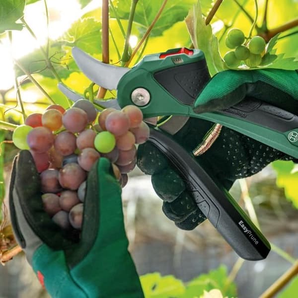 Bosch EasyPrune akkukäyttöiset oksasakset - Power Assist -teknologia - vihreä