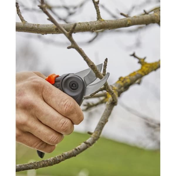 Sekatörer - GARDENA - ExpertCut - Max. diameter 22 mm - Klinger i rostfritt stål - Hög hållbarhet