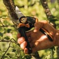 Miniatyrbillede 5 af 5: Manuel sakseskærer 28,5 cm