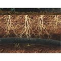 Miniatyrbild 2 av 4: Set med 3 produkter. Vattningsslang Aqua-drop 1/2"- 7,5m