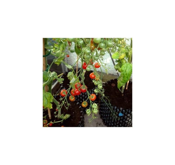 AIR POT® - Rund kjele 5L Hydro-sett