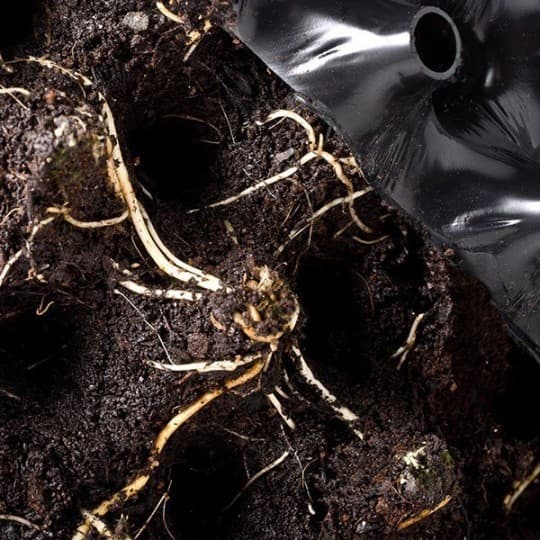 Sett med 5 produkter. AIR POT® - Rund gryte 3L Hydro kit
