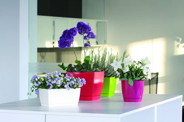 Urtepotte med underkop rund hvid 18x16,5cm Coubi