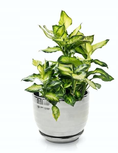 Keramisk blomkruka med stativ 13 cm silver
