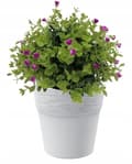 Miniatyrbild 1 av 2: Rund plastkruka vit 17,5 cm Furu