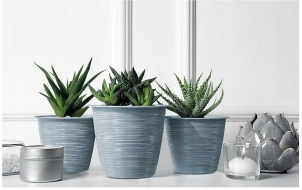 Rund plastik urtepotte antracit 12 cm Furu