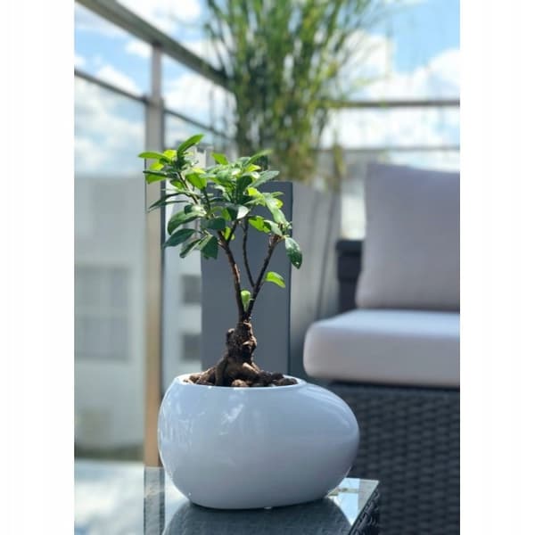 Keramisk bonsaipotte 13 cm hvid