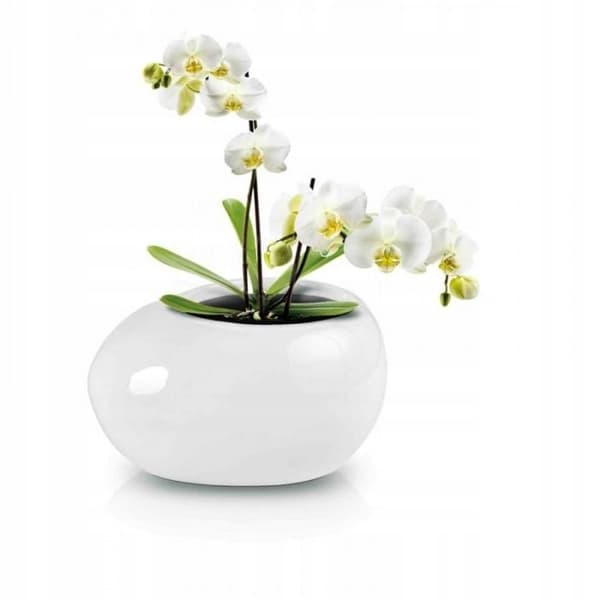 Keramisk bonsaipotte 13 cm hvid