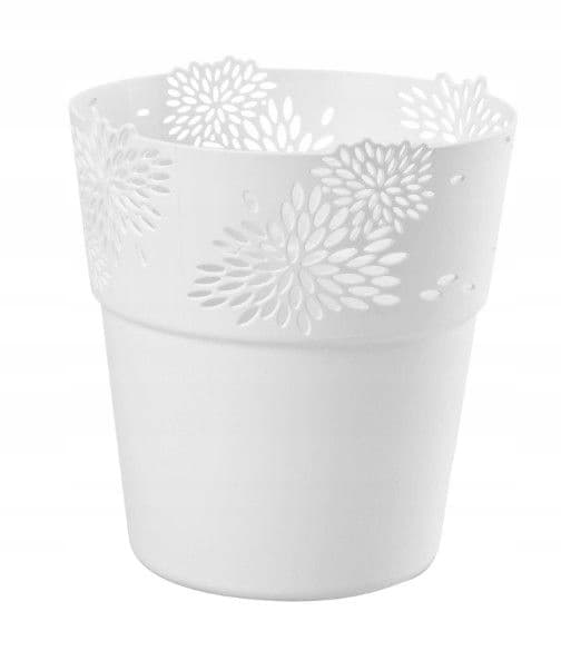 Avoin kansi Aster valkoinen 11,5 cm