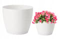 Miniatyrbillede 1 af 2: Urtepotte med underkop rund plastik hvid 14,7x13,65cm