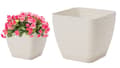 Miniatyrbillede 1 af 2: Urtepotte med underkop, cremefarvet, 22,6x20,9 cm, plastik, firkantet