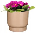 Miniatyrbillede 1 af 2: Klassisk stilfuldt betræk 23x26cm beige keramik