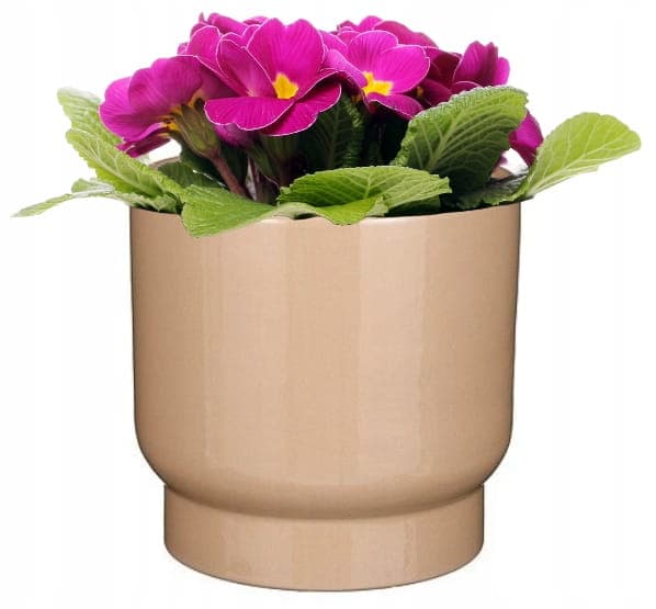 Klassisk stilfuldt betræk 23x26cm beige keramik