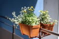 Miniatyrbild 2 av 3: Blomkruka balkonglåda tegel plast 40x17cm med stativ Lobelia