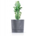 Pikkukuva 3 / 3: Harmaa betonimainen kukkaruukku 23,9x23,1cm, muovia, elegantti Tubo P