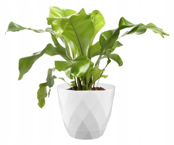 Urtepotte med underkop hvid dekorativ plastik 27,5 cm