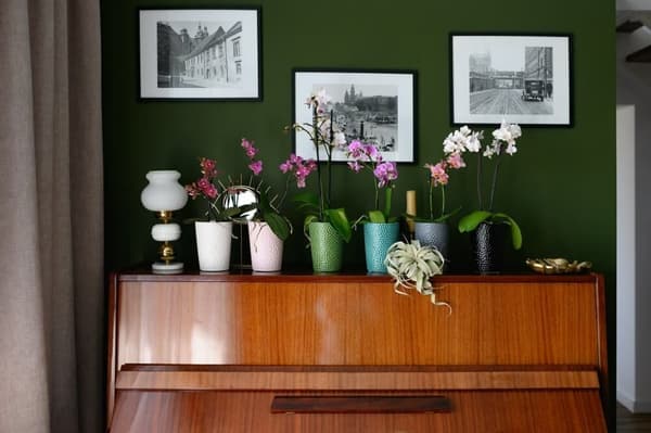 KERAMISK LÅG TIL ORCHIDEPOTTER