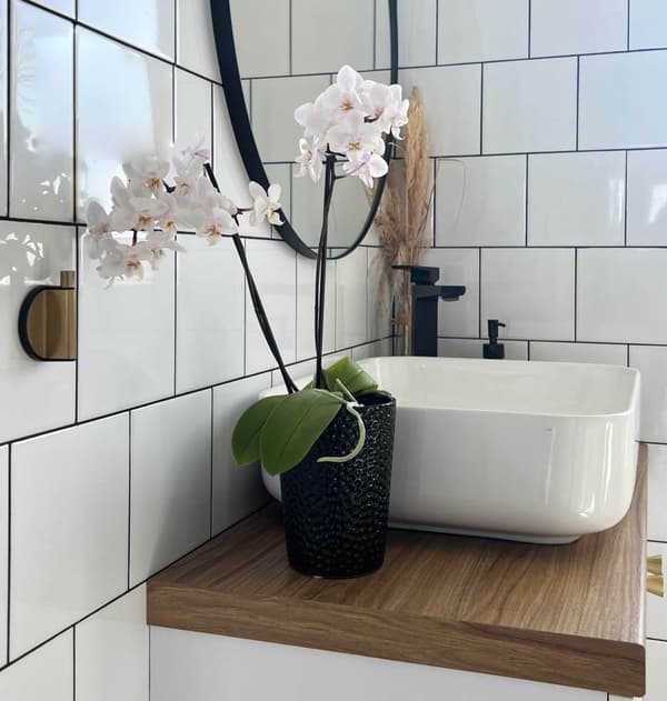 KERAMISK LÅG TIL ORCHIDEPOTTER