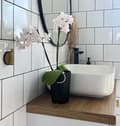 Miniatyrbillede 4 af 4: KERAMISK LÅG TIL ORCHIDEPOTTER