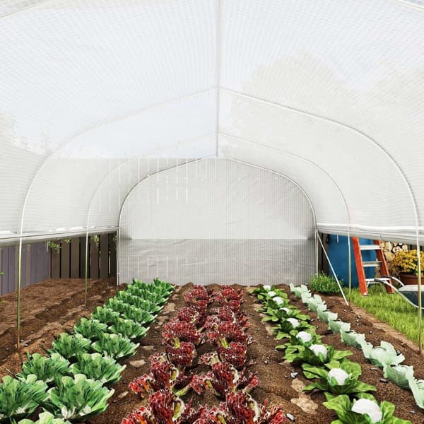 Rootz 6x3x2 M Greenhouse - Walk -in Garden House - Plant Shelter - UV Resistent - 595 cm x 300 cm x 200 cm