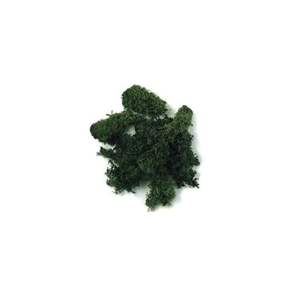 Miniträdgård - Rayher - Naturlig isländsk mossa