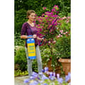 Miniatyrbild 3 av 4: Gloria Haus und Garten 000262.0000 hobby exclusiv Tryckspruta 5 l