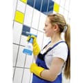 Miniatyrbild 3 av 3: Gloria Haus und Garten 000607.0000 CleanMaster CM 05 Tryckspruta 0.5 l
