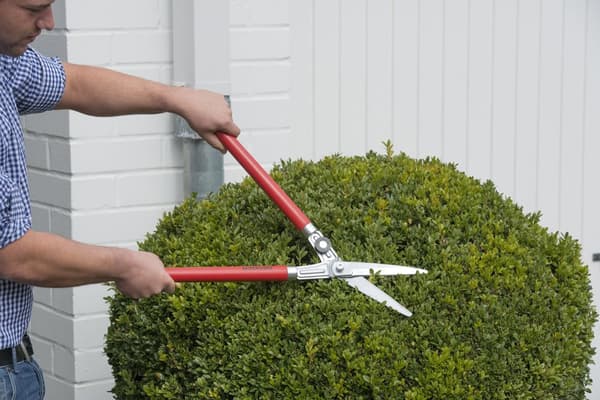 Berger Häcksax 2520 - Formklippning, Topiary
