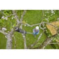 Miniatyrbild 3 av 4: GARDENA GARDENA Akku-Teleskop-Baumschere HighCut 360/18V P4A solo 14776-55 Grensax