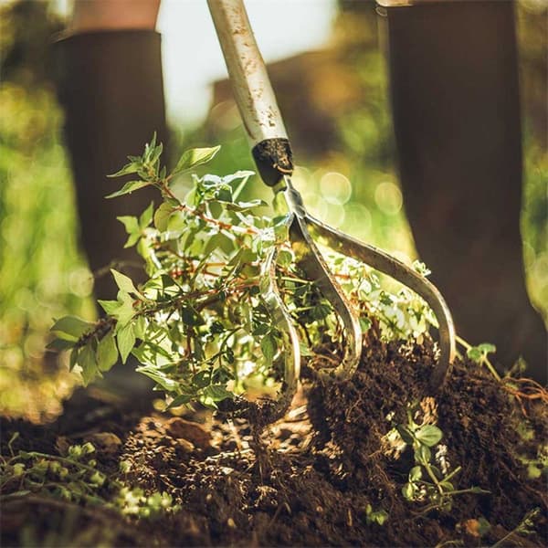 Fiskars Piikit Xact 3 172 Cm Haarukka Hopeinen