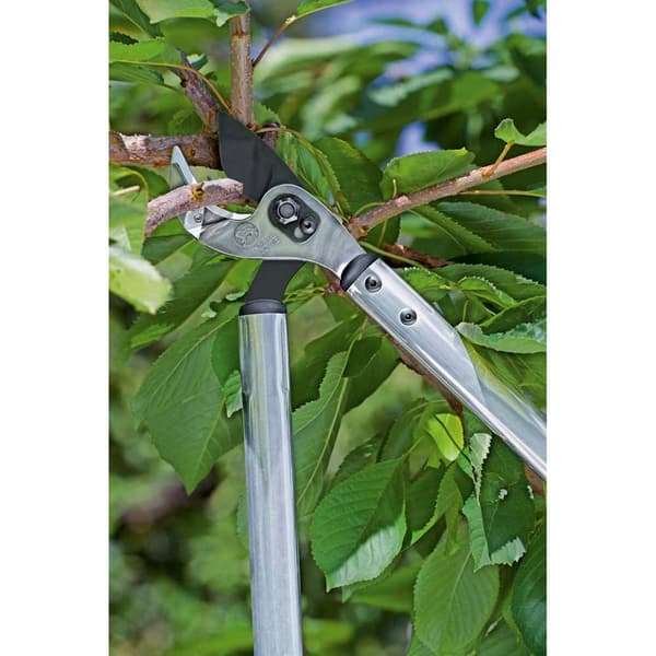 Stocker Ambolt Profi Löwe 65 Cm Med Buet Klinge Lopper