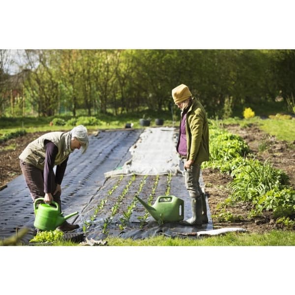 TerCasa JU-998103 Roddug 200x1000 cm 100g/m2 Sort