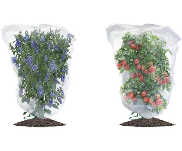 Lollanda 2-pak Frugttræsnet med Snøre/Fuglesikkerhedsnet - 120x80/180 cm, Anti-Fugl/Insekt, til Have og Bærbuske
