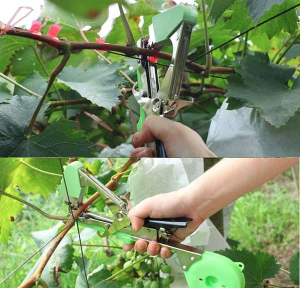 Havebind – 20 m bånd, enhåndsdesign til planter og buske (tomater/druer)