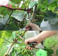 Miniatyrbillede 3 af 7: Havebind – 20 m bånd, enhåndsdesign til planter og buske (tomater/druer)