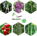 Miniatyrbillede 4 af 7: Havebind – 20 m bånd, enhåndsdesign til planter og buske (tomater/druer)