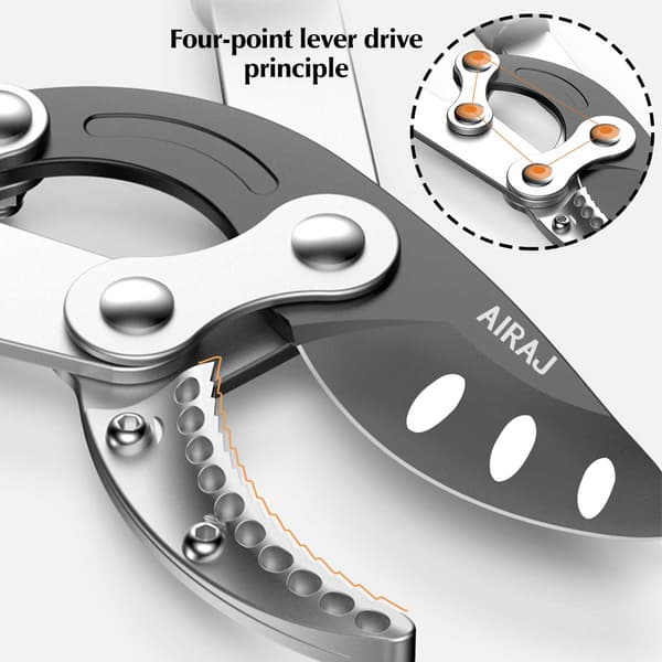 AIRAJ, Ergonomisk Håndtag, Rustbestandig Klinge,Beskaringssakse