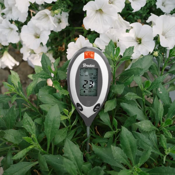 4-funktioners jordmätare: pH, luftfuktighet, solljus, temperatur, LCD-display
