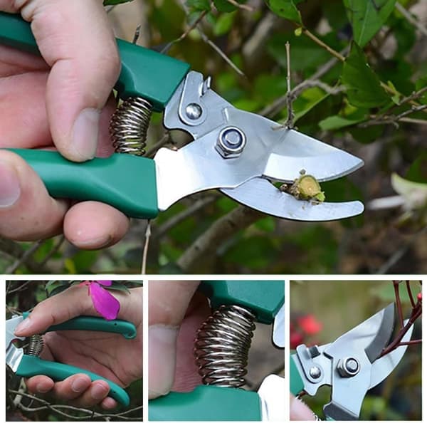 Lollanda haveredskabssæt med ergonomisk håndtag, rustfrit stål, bærbar opbevaringsboks, perfekt til havearbejde