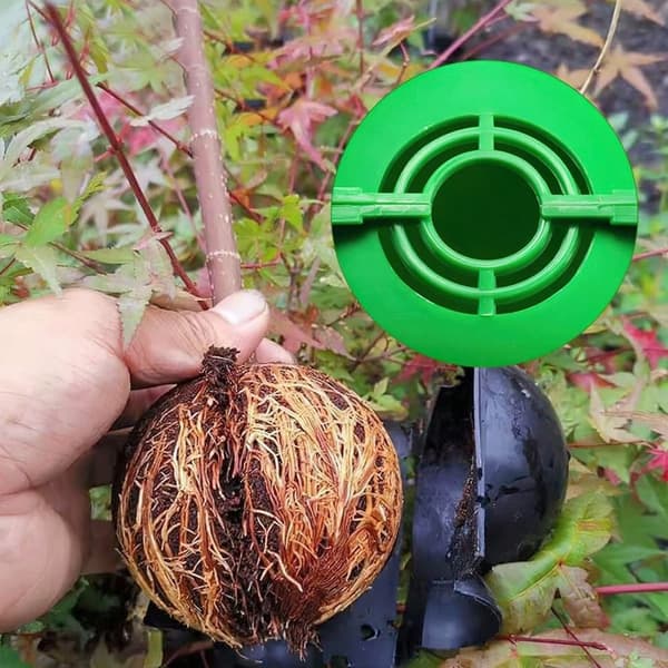 OBOSOE Air Layering pods Genbrugbare Plante Rooting Device Plante Rooting Grow Box Genbrugbare Propagation Box Plante Transplantation Ballyellow 20pcs