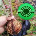 Miniatyrbillede 3 af 8: OBOSOE Air Layering pods Genbrugbare Plante Rooting Device Plante Rooting Grow Box Genbrugbare Propagation Box Plante Transplantation Ballyellow 20pcs