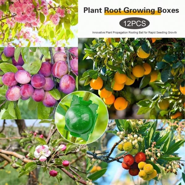 OBOSOE Air Layering pods Genbrugbare Plante Rooting Device Plante Rooting Grow Box Genbrugbare Propagation Box Plante Transplantation Ballyellow 20pcs