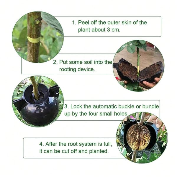OBOSOE Air Layering pods Genbrugbare Plante Rooting Device Plante Rooting Grow Box Genbrugbare Propagation Box Plante Transplantation Ballyellow 20pcs