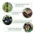 Miniatyrbillede 8 af 8: OBOSOE Air Layering pods Genbrugbare Plante Rooting Device Plante Rooting Grow Box Genbrugbare Propagation Box Plante Transplantation Ballyellow 20pcs